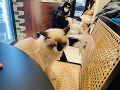 -seeu coffee(江滩店)