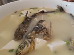 昂刺鱼豆腐汤-状元楼(金溪路店)