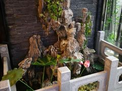 -知足堂养生会所(碑亭巷店)