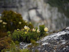-巴马水晶宫