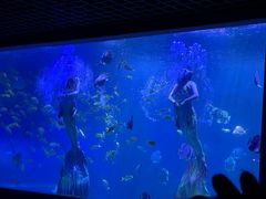 -乌鲁木齐海洋馆