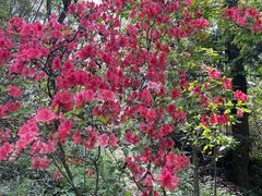 -上海佘山国家森林公园天马山园