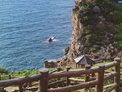-杨梅坑