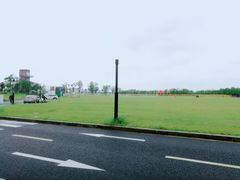 -春花秋色城市公园