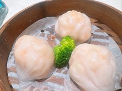 -新雅粤菜馆(南京东路店)