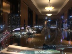-新加坡丽思卡尔顿美年酒店