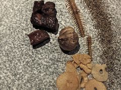 -新鲜特色餐厅(香格里拉大酒店)