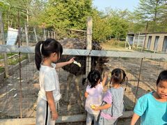 -新塘水果乐园(东洲大道店)