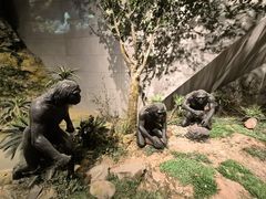 -北京周口店北京人遗址博物馆