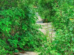 -北京西山国家森林公园