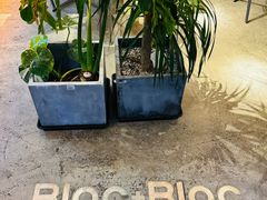 -Blac+Blac(中海环宇荟店)