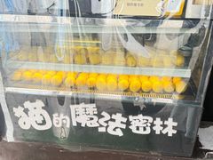 -猫的魔法密林(衣裳街店)