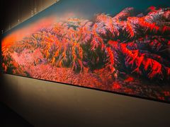 -罗红摄影艺术馆