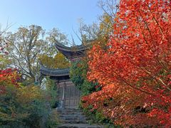 -宝界山林公园