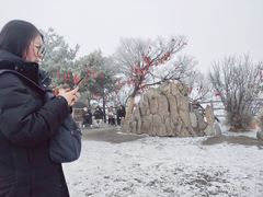 -洛阳白云山景区