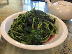 清炒米苋-新聚丰菜馆(太监弄店)