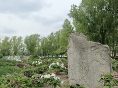 -莲花池公园