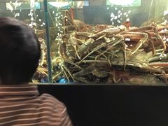 -蟹之国·精品蟹料理(极地店)