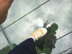 -梦幻奥陶纪景区