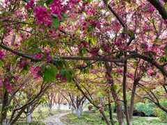 -元大都城垣遗址公园