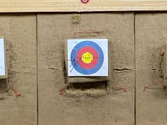 -道顺射箭·团建·骑射(张杨路店)