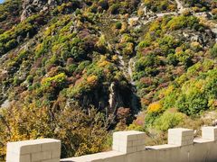 -白草畔自然风景区