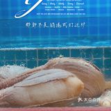 99元打边炉的快乐 ｜ 那都不是锅