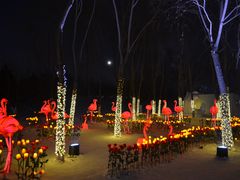 -长春世界雕塑园冰雪艺术天地