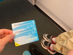 -龙阳路磁悬浮列车总站-停车场