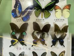 -蝴蝶泉公园