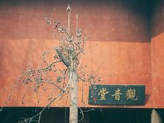 -磁器口古镇