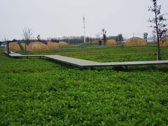 -祝甸砖窑文化馆