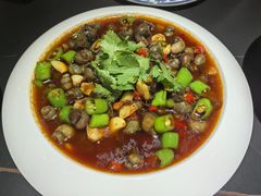 -京悦南门涮羊肉·羊蝎子火锅(田林路店)