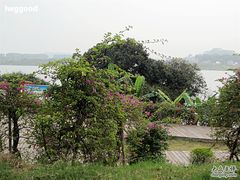 -鹤之洲湿地公园