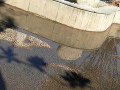-三江森林温泉度假区