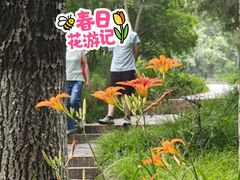 -宣武艺园