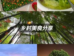 -金水泊山庄·花椒鸡(铁山坪店)