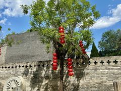 -大槐树寻根祭祖园