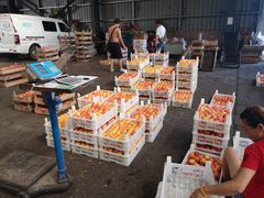 -大连果菜批发市场