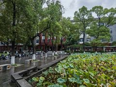 -四川大学(望江校区)