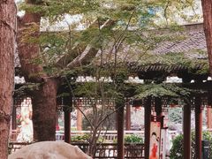 -绳金塔