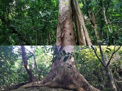 -七仙岭温泉国家森林公园