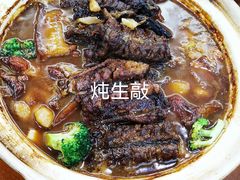 -丁老爷子苏香圆