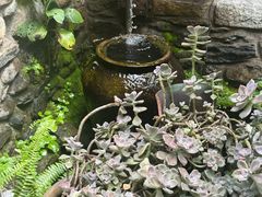 -巷里老院花园餐厅