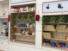 -凯瑞希宠物医院·狂犬免疫·微创·皮肤科