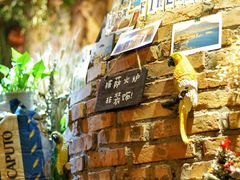 -盘炉forenza·云贵川融合小食堂 ( 钟楼中柳巷店)