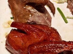 -鸽子侯·家宴·平价海鲜(市图书馆店)