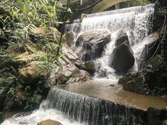 -四会奇石河风景区