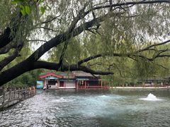 -百脉泉景区