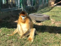 -西安秦岭野生动物园